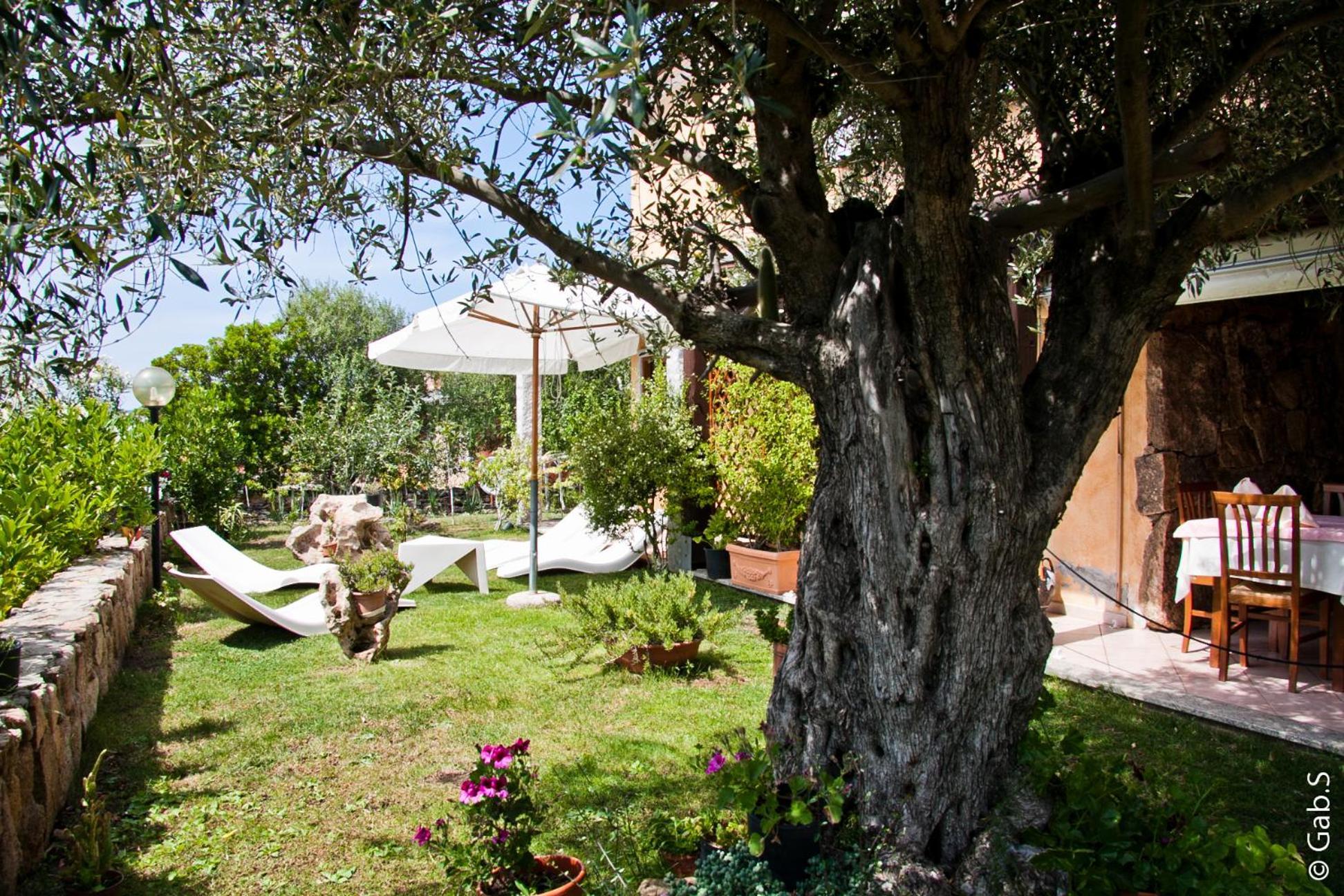 Hotel Alador Tanaunella